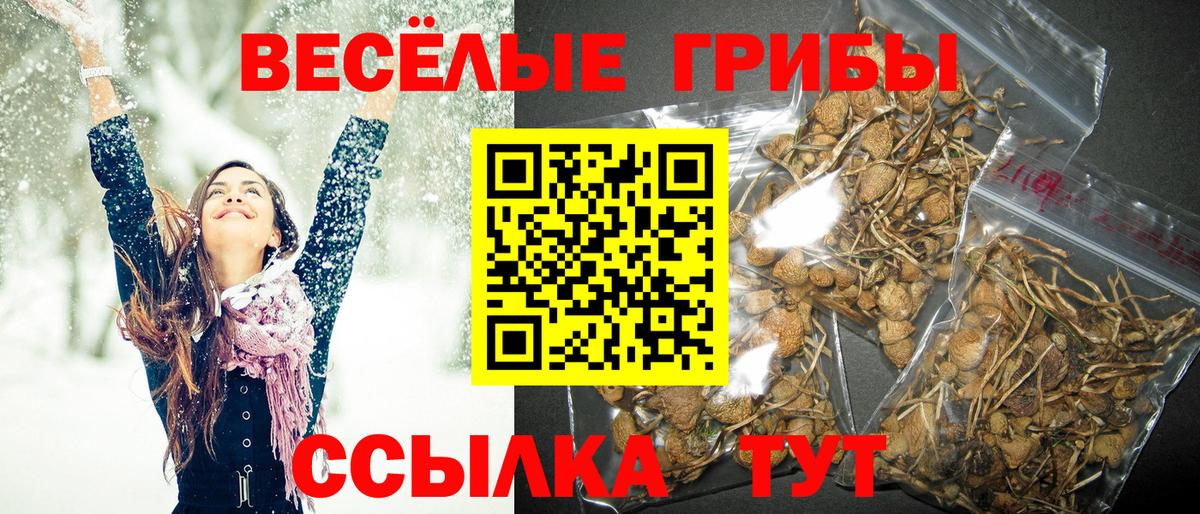 Галлюциногенные грибы MAGIC MUSHROOMS Жигулёвск