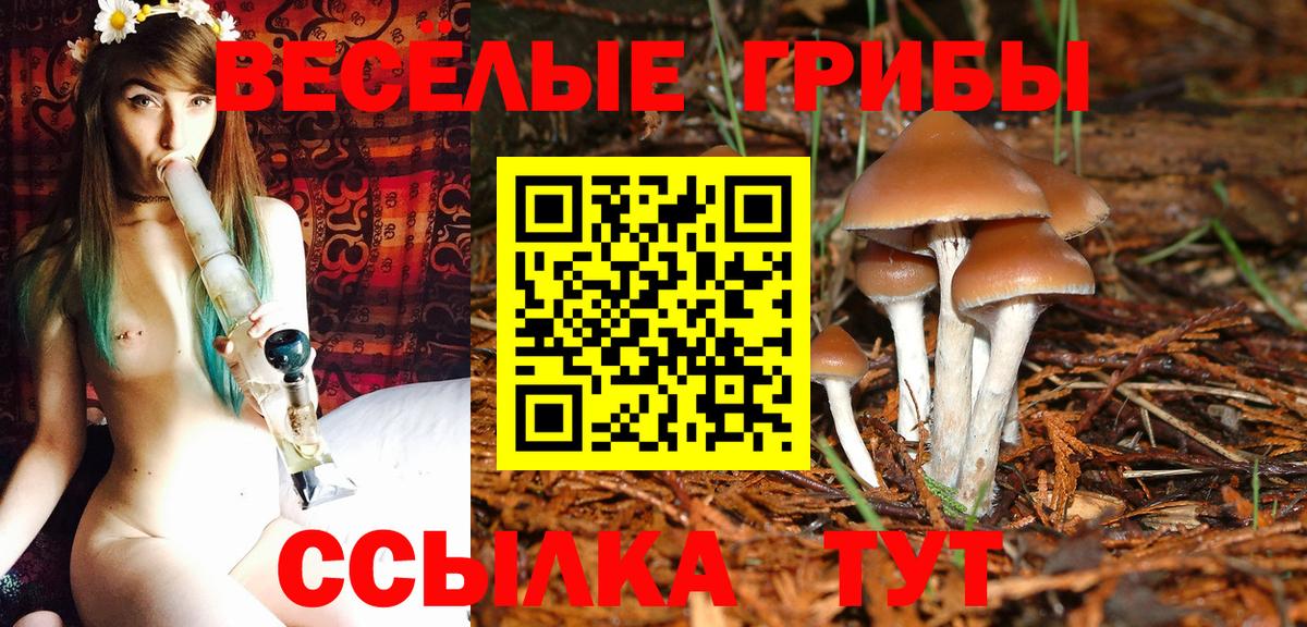 Жигулёвск  Псилоцибиновые грибы мицелий  Вход с VPN  Галлюциногенные грибы MAGIC MUSHROOMS 